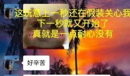 胖猫爆料视频下载,一窥娱乐圈幕后风云